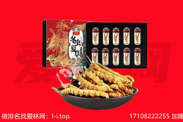 双辽市回收虫草.jpg